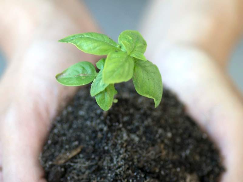 How Much Does Junk Removal Cost in Scottsdale, AZ?